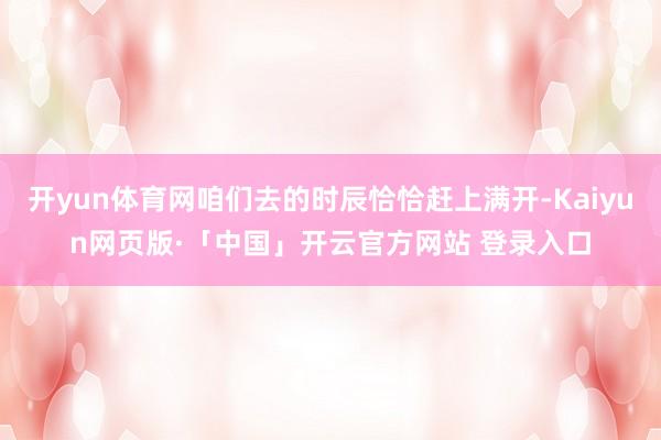 开yun体育网咱们去的时辰恰恰赶上满开-Kaiyun网页版·「中国」开云官方网站 登录入口